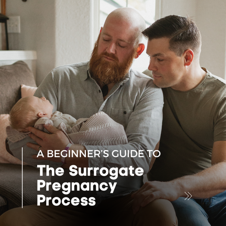 Website Blog Posts (7)