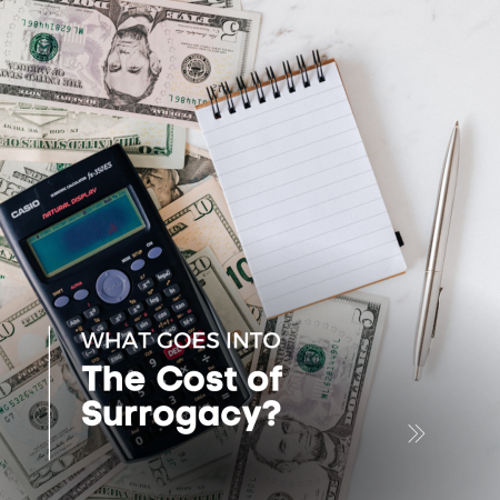 Website Blog Posts (4)